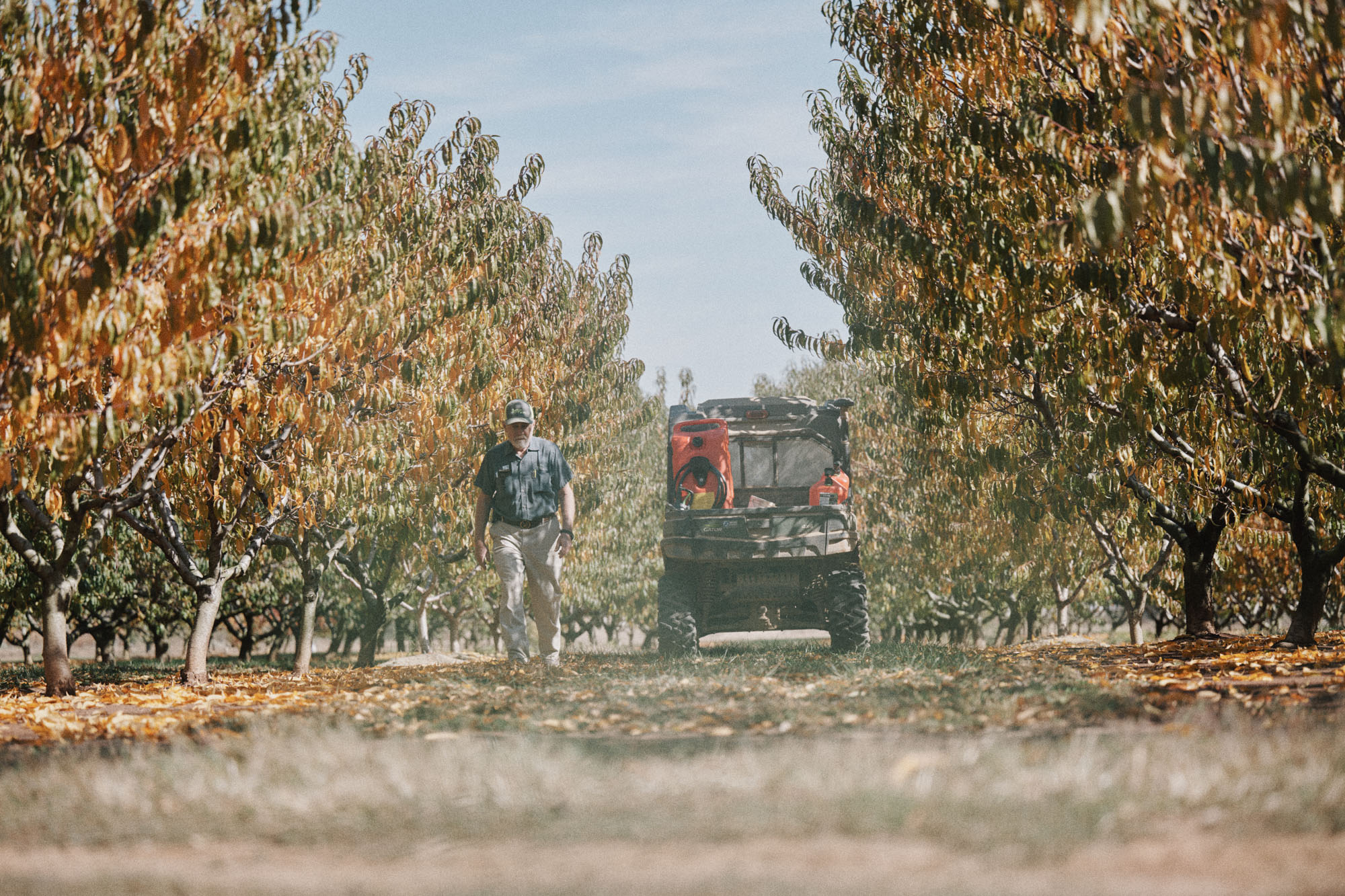 mike-carroll-photo-ag-BarbeeFarms_3_331